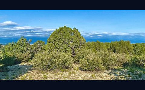 Vacant Lot for sale at William Finlay Dr, Rye, Colorado