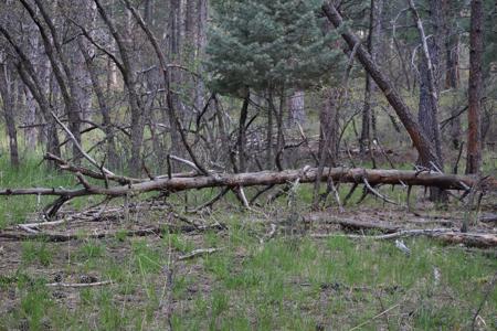 Vacant Lot for sale at W. Hwy 165, Rye, Colorado