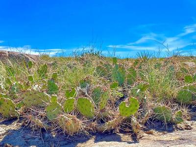 Vacant Lot for sale at Schmitt Rd, Rye, Colorado