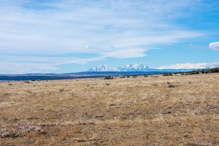 Vacant Lot for sale at Cedarwood Station, Rye, Colorado