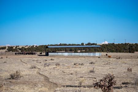 Vacant Lot for sale at Cedarwood Station, Rye, Colorado