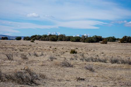 Vacant Lot for sale at Cedarwood Station, Rye, Colorado