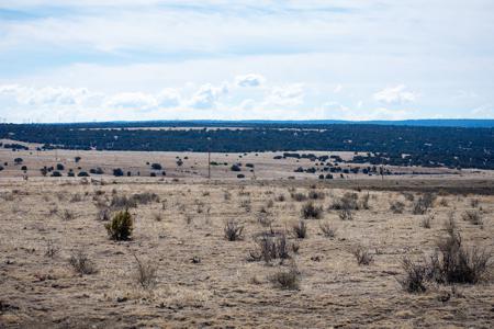 Vacant Lot for sale at Cedarwood Station, Rye, Colorado