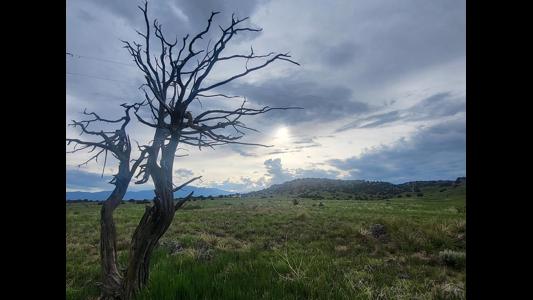 Residential Property for Sale in Rye, Colorado