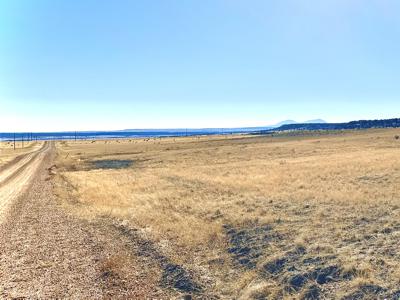 Vacant Lot for sale at Schmitt Rd, Rye, Colorado