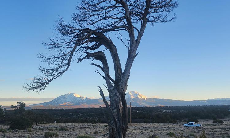 Vacant Lot for sale at Choctaw Dr Walsenburg, Colorado