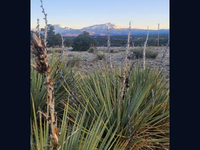 Vacant Lot for sale at Choctaw Dr. Walsenburg, Colorado