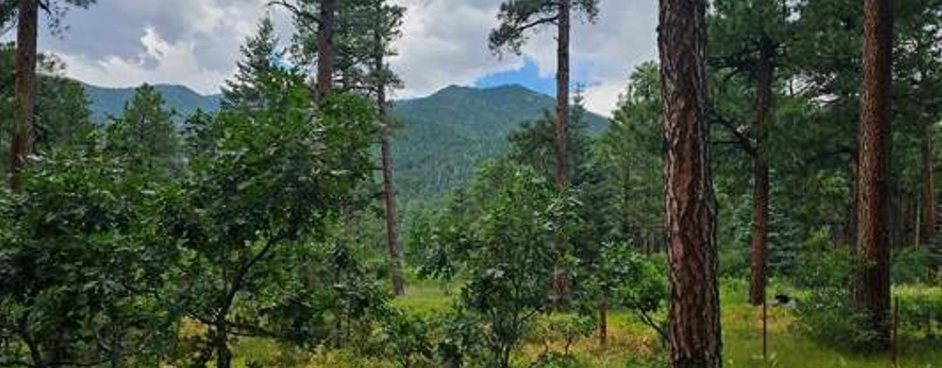 Properties for Sale in Rye, Colorado City, Beulah, Pueblo and Southern Colorado