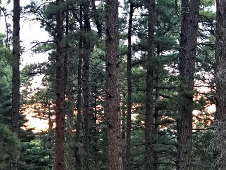 Vacant Lot for sale at Zorn Rd, Rye, Colorado