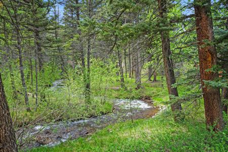 Home for Sale 25 Cottonwood Tr. La Veta, Colorado