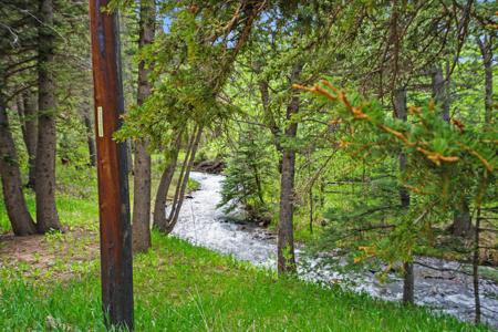 Home for Sale 25 Cottonwood Tr. La Veta, Colorado